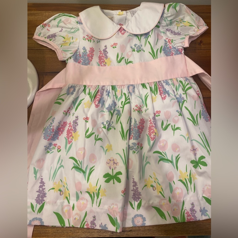 TBBC 4t NWT dress